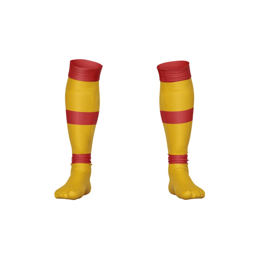 Chaussettes bicolores