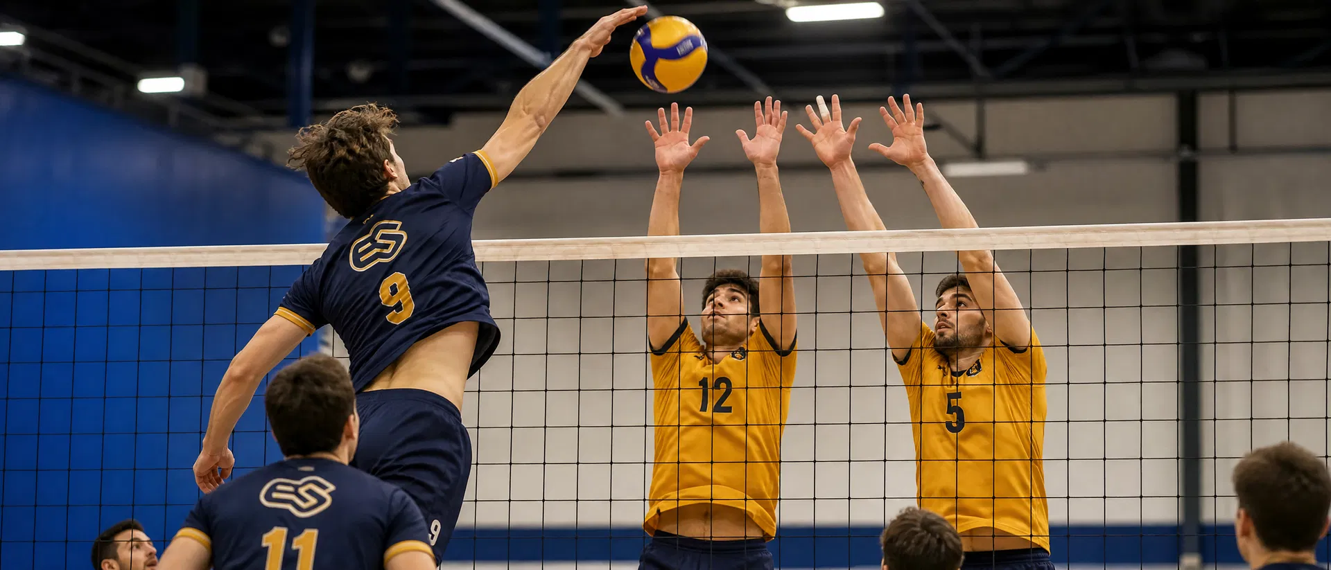 Volleyball